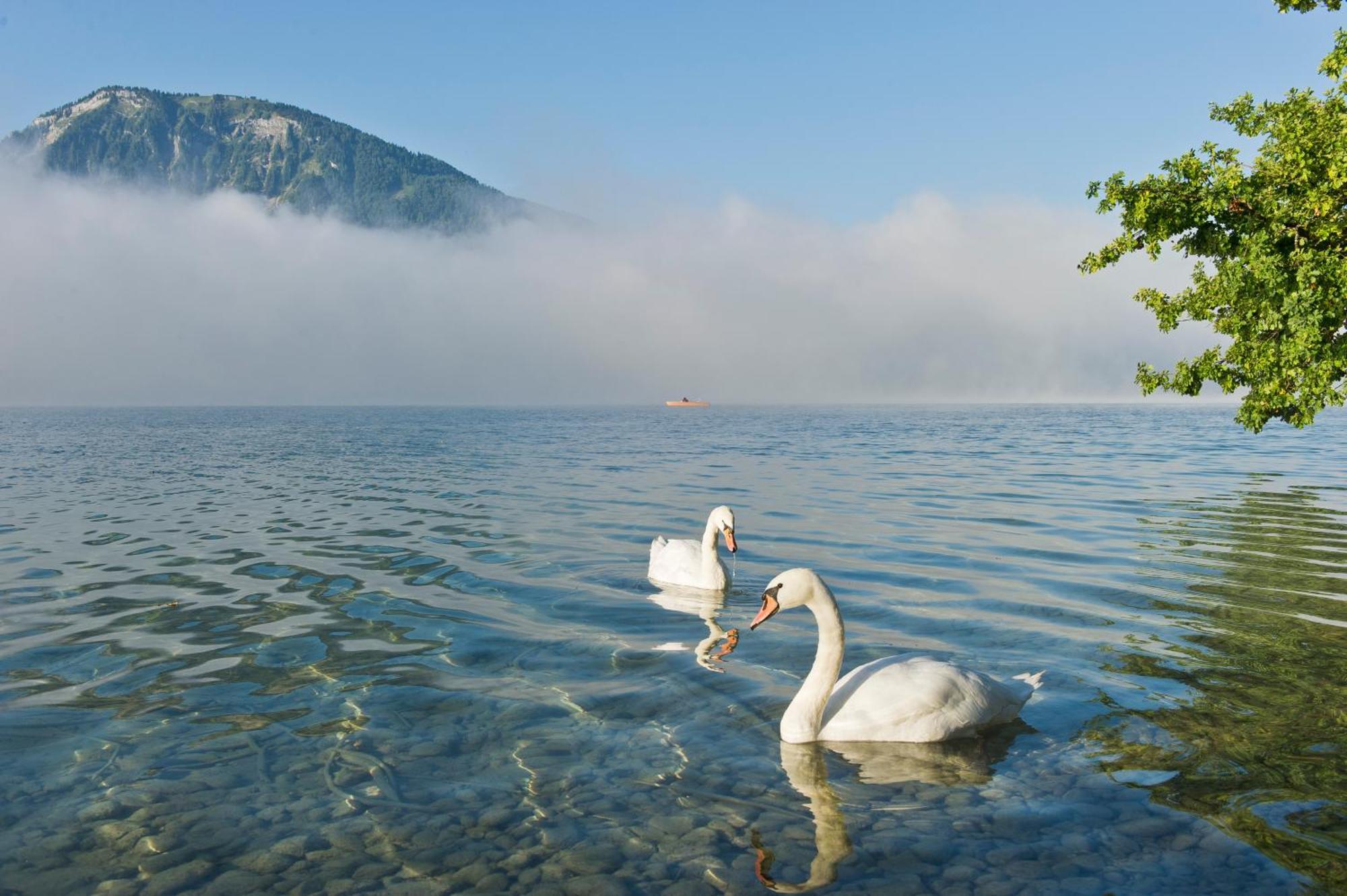 Reiterhof Suassbauer Villa Saint Wolfgang Dış mekan fotoğraf