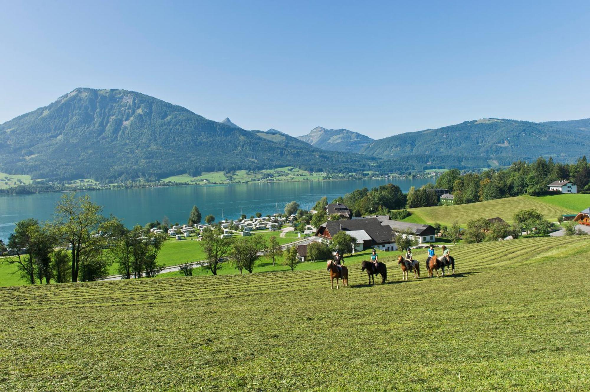 Reiterhof Suassbauer Villa Saint Wolfgang Dış mekan fotoğraf