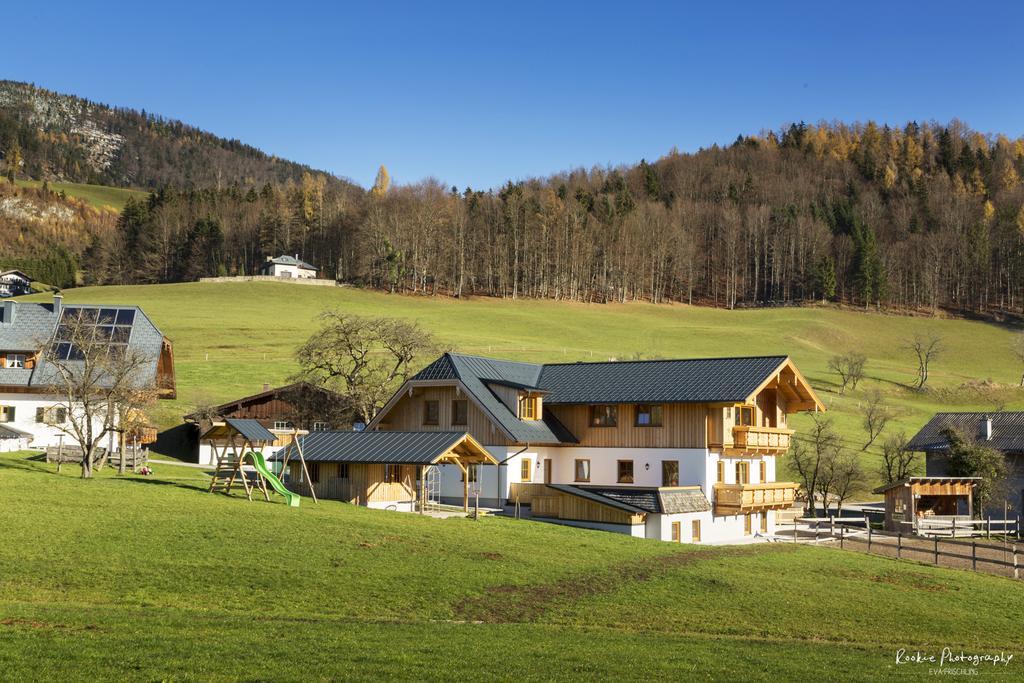 Reiterhof Suassbauer Villa Saint Wolfgang Dış mekan fotoğraf