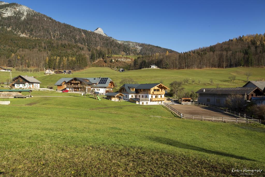 Reiterhof Suassbauer Villa Saint Wolfgang Dış mekan fotoğraf